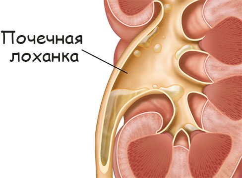 Кракен сайт вход